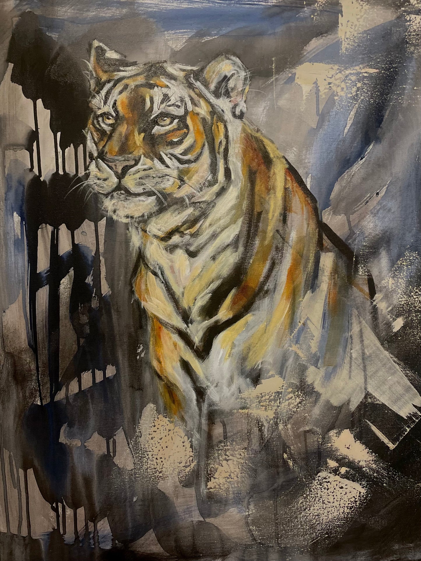 Amur Tiger