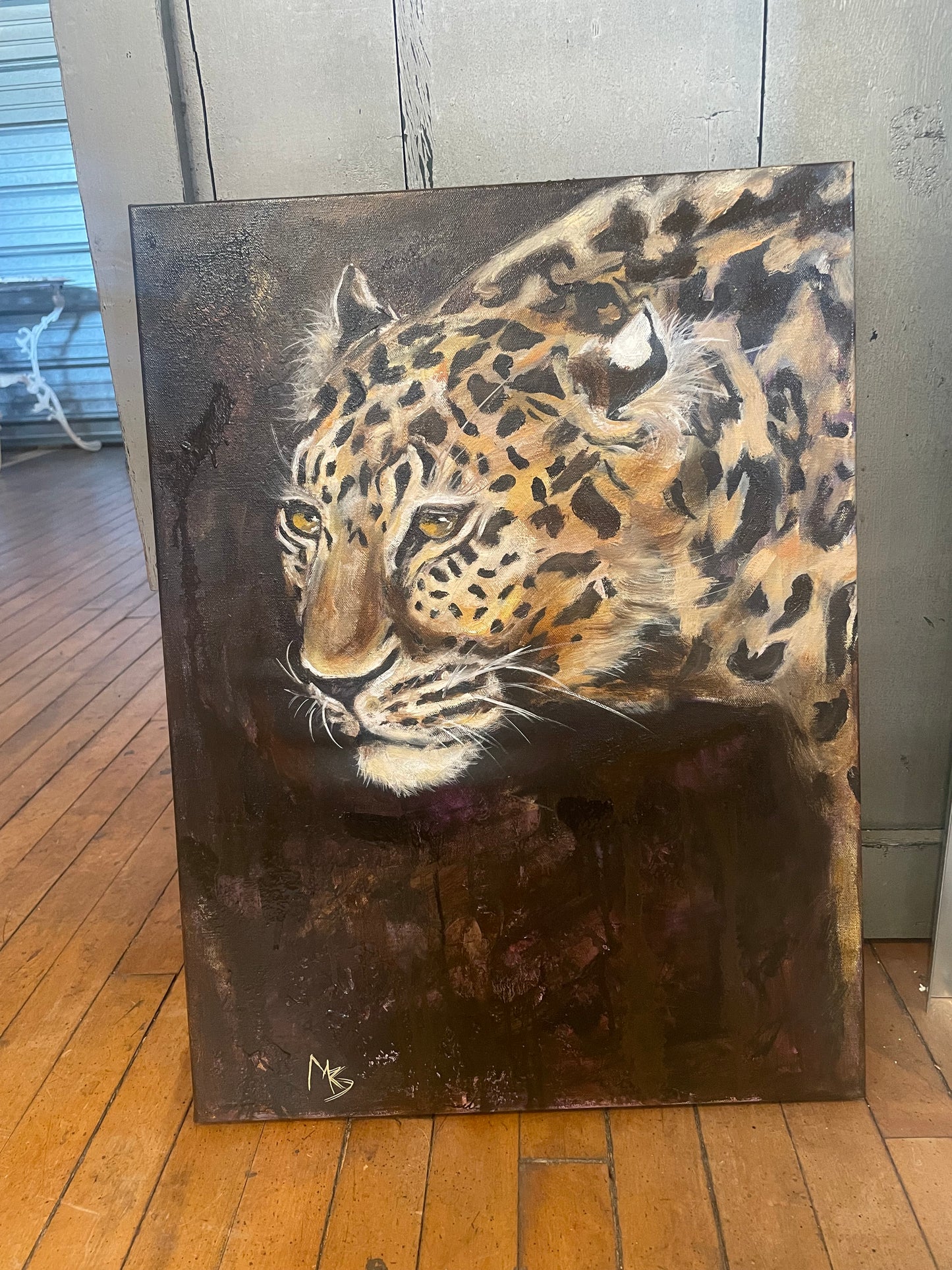 Amur Leopard